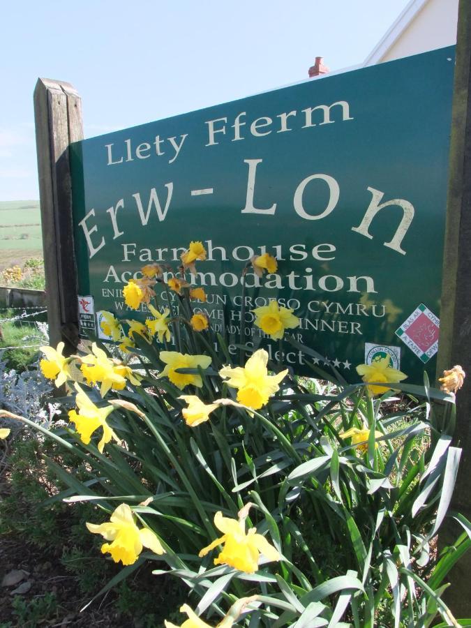 Erw-Lon Farm Bed and Breakfast Pontfaen Exteriör bild