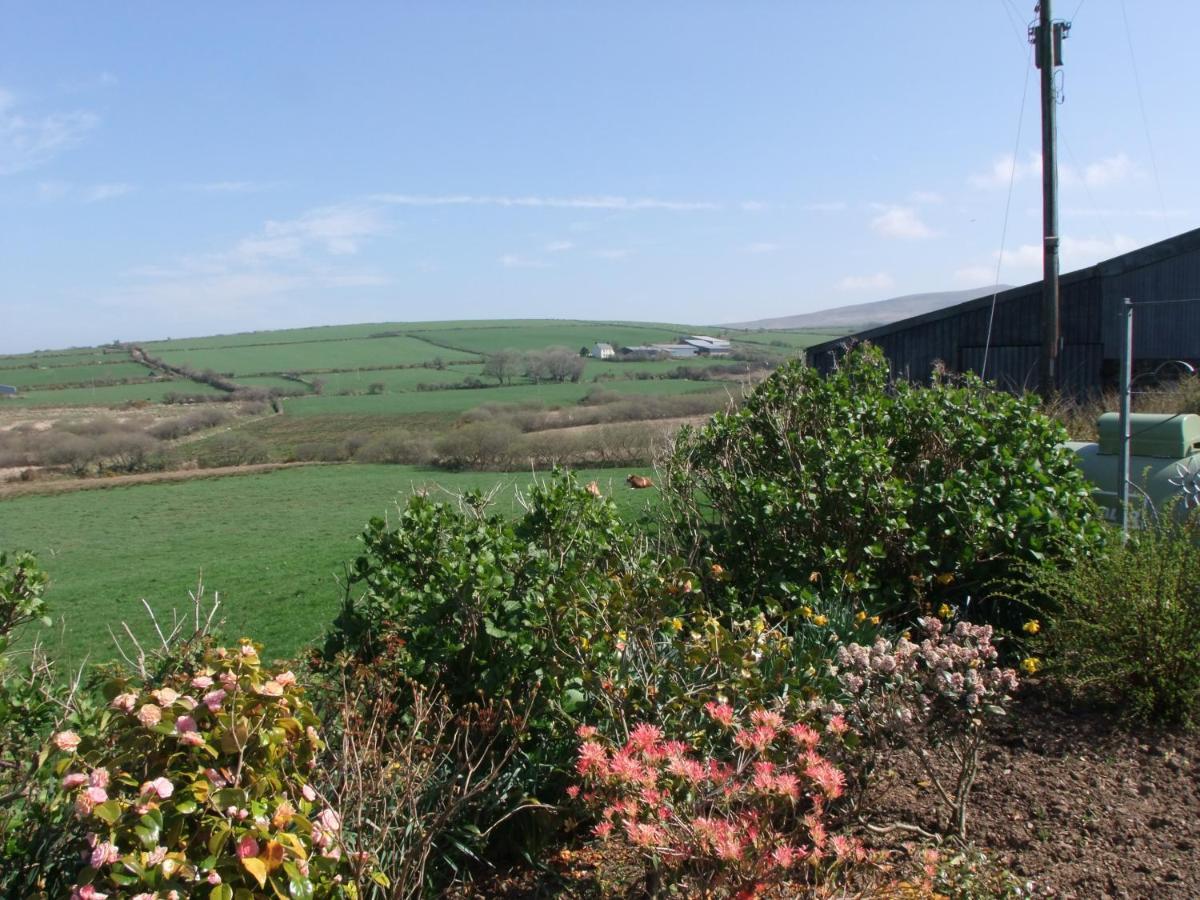 Erw-Lon Farm Bed and Breakfast Pontfaen Exteriör bild