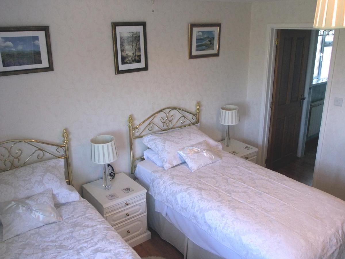Erw-Lon Farm Bed and Breakfast Pontfaen Rum bild